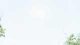10.png